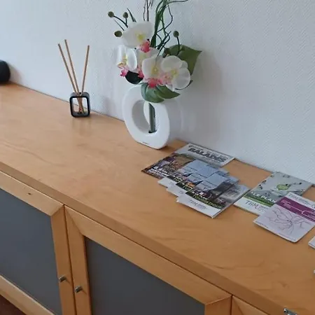 Locbordeaux-fr - Appt Proche Chu - Wifi * בורדו